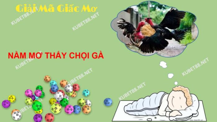 Nằm mơ thấy gà đánh nhau đánh đề con nào chuẩn?