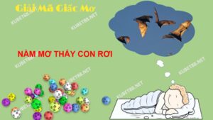 Ý nghĩa xung quanh giấc mơ thấy con dơi và con số lô đề chuẩn?