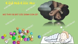 Mơ thấy bị bắt cóc đánh con lô gì ?