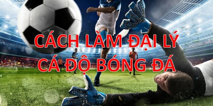 Hướng dẫn cách đăng ký làm đại lý cá độ bóng đá