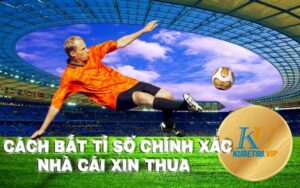 Cách bắt tỉ số bóng đá chính xác nhà cái xin thua