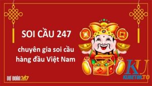 soi cau 247 2